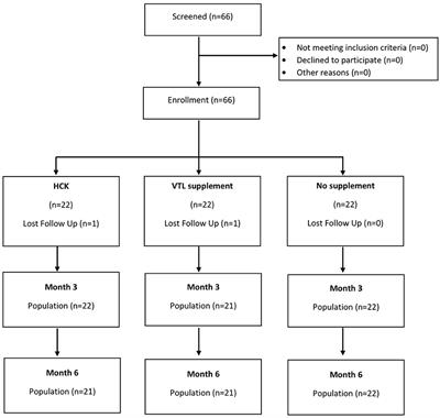 Effects of Oral Multi-Vitamin Multi-Mineral Supplement Formulations on Laboratory Outcomes and Quality of Life: A Quasi-Experimental Study